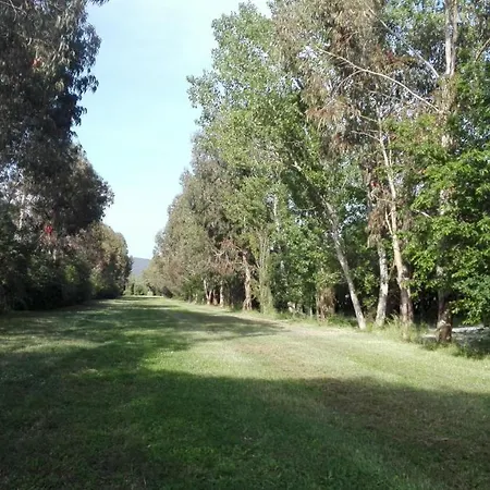 Il Riccio Farm stay