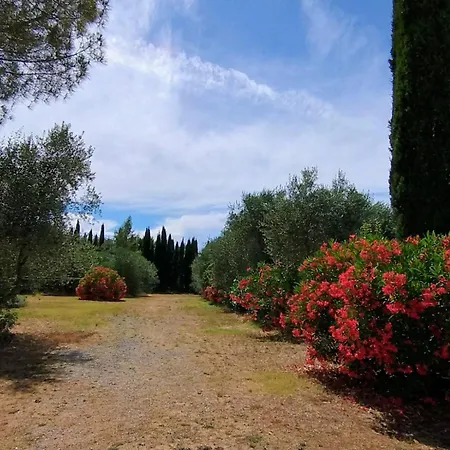 Il Riccio Farm stay