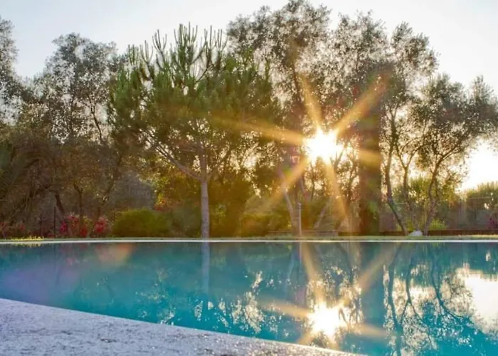 Il Riccio Farmház Forni di Gavorrano