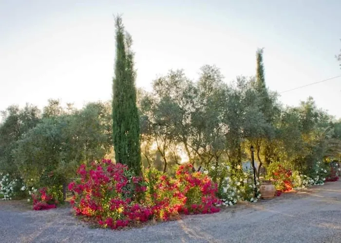 Farmház Il Riccio *