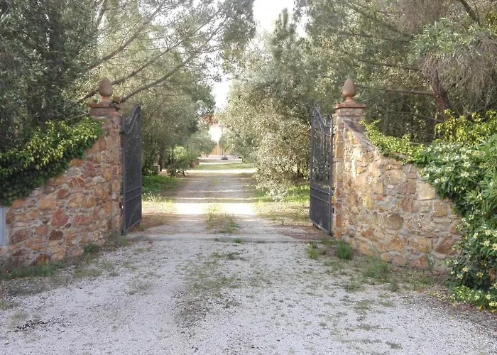 Il Riccio Forni di Gavorrano