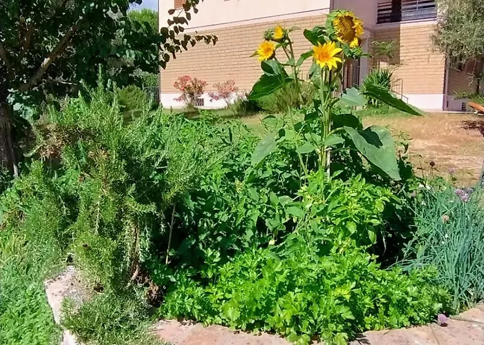 Il Riccio Forni di Gavorrano